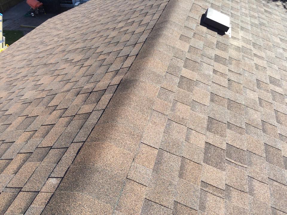 Roof shingle installation