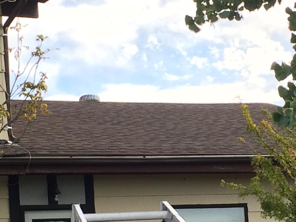 House exterior with dark gray roof